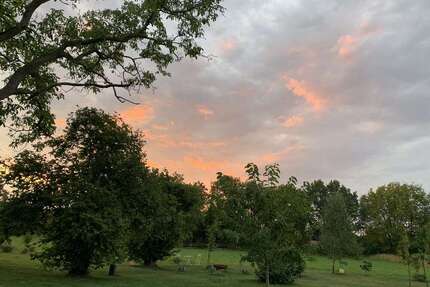 Wohnung zum Mieten in Münster 2.580,00 € 190 m²