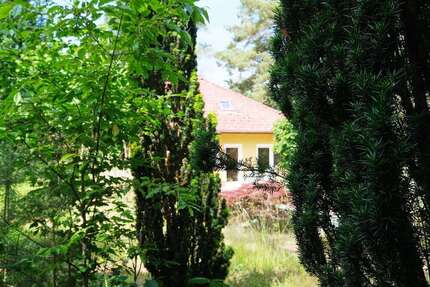 Haus zum Kaufen in Falkensee 625.000,00 € 154 m²