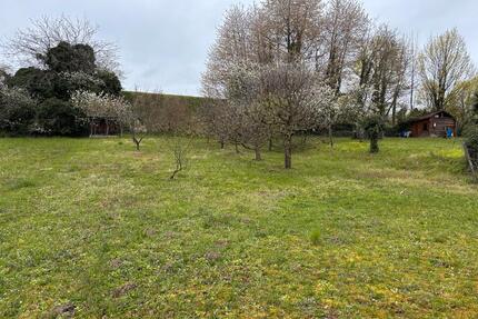 FreizeitgrundstückGartengrundstück in Kippenheim zu verpachten