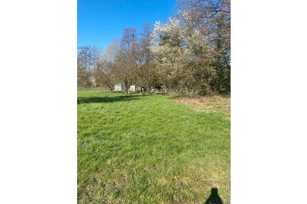 Gartengrundstück in Auenwald zu Vermieten!