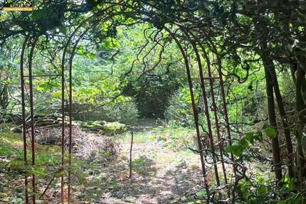 Grundstück zu verkaufen in Weißenohe 270.000,00 € 1132 m²