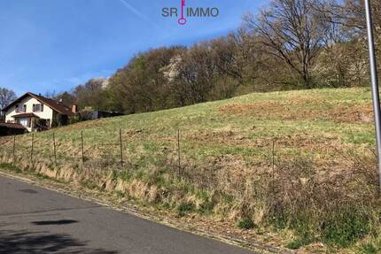 Tolles Grundstück in bester Lage in Bollendorf - direkt an der Grenze zu Luxemburg