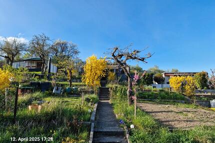 großer Kleingarten in FrankfurtO - Frankfurt (Oder) Booßen