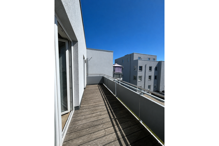 Wohnung zum Mieten in Stralsund 610,00 € 46 m²