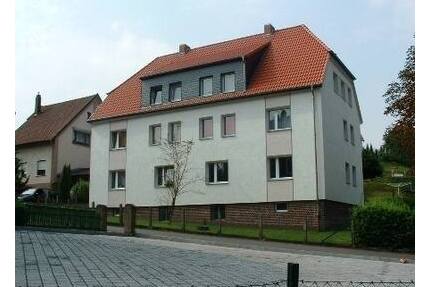 3-Zimmer-Wohnung sucht neuen Mieter! - Alfeld Gerzen