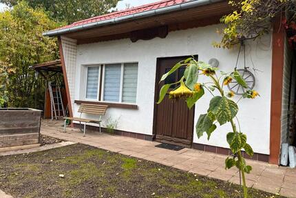 Pachtgarten Kleingarten in ruhiger Lage in Leinefelde abzugeben - Leinefelde-Worbis