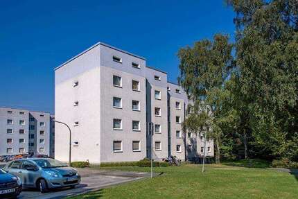 Wohnung zum Mieten in Bergkamen 429,00 € 55 m²
