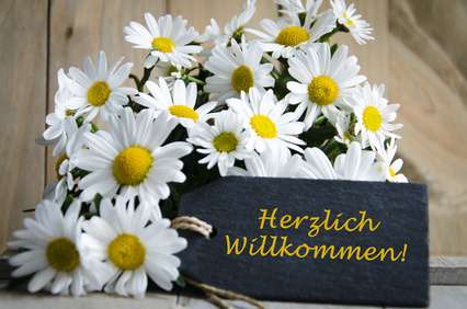 Wohnung zum Mieten in Datteln 357,00 € 42 m²