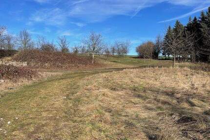 Baugrundstück Sachsdorf - 49.000,00&nbsp;EUR Kaufpreis, ca.&nbsp; 0,00&nbsp;m&sup2; in Klipphausen (PLZ: 01665) Sachsdorf