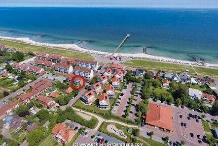 Last Minute Urlaub mit Hund Schönberger Strand 06.06. - 13.06 - Schönberg (Holstein)