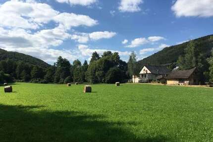 Haus zum Kaufen in Hahnenbach 425.000,00 € 90 m²