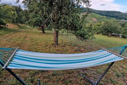 Grundstück (Wiese) mit kleinem Häuschen zum Pachten - Adelsheim
