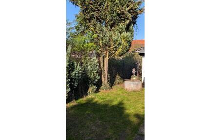 Garten zu verpachten - 185,00&nbsp;EUR Kaltmiete, ca.&nbsp; 0,00&nbsp;m&sup2; in Großwallstadt (PLZ: 63868)