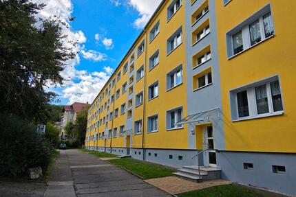 Lichtdurchflutetes Sudio-Apartment-Erstbezug nach Sanierung! - Sondershausen