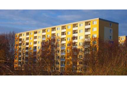 Wohnung zum Mieten in Braunschweig 329,00 € 59 m²