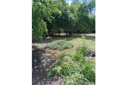 Falkensee - großes Baugrundstück