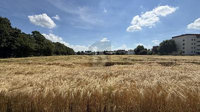 ATTRAKTIV MIT VIELFÄLTIGEN BEBAUUNGSMÖGLICHKEITEN - Wabern