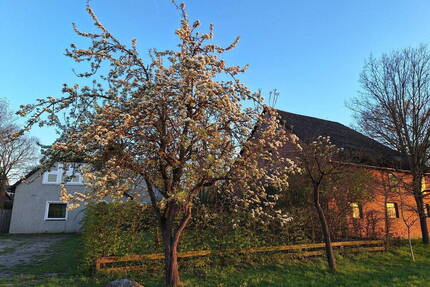 Resthof mit Weide und großem Garten - ideal für Selbstversorger und Tierbesitzer - 1,37ha - Wittingen Glüsingen