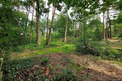 Baugrundstück in ruhiger Nachbarschaft und allerschönster Lage nahe Worpswede - Worpswede / Neu Sankt Jürgen