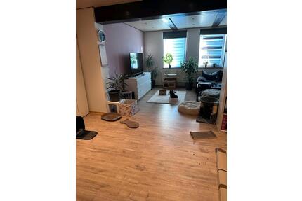 2 Zimmerwohnung in 38154 Rhode - 500,00&nbsp;EUR Kaltmiete, ca.&nbsp; 65,00&nbsp;m&sup2; in Vordorf (PLZ: 38533)