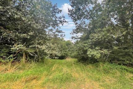 Baubeginn sofort möglich: hochinteressantes, erschlossenes Grundstück in ruhiger Lage von Kusel