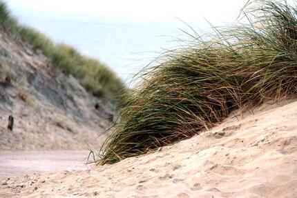 WG Zimmer in Oldenburg - 480,00&nbsp;EUR Kaltmiete, ca.&nbsp; 22,00&nbsp;m&sup2; in Oldenburg (PLZ: 26125) Etzhorn