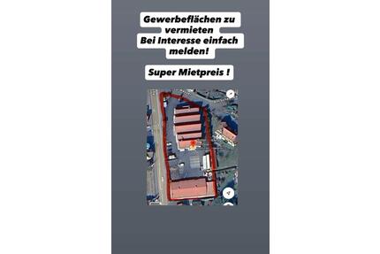 Gewerbefläche Ladenlokal Lager Halle zu vermieten - Alsfeld