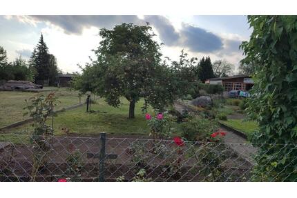 Garten in Kleingartensparte von Roßlau zu verpachten - Dessau-Roßlau Brambach
