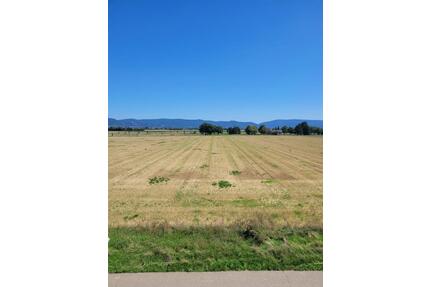 3 ZKBB-Wohnung in Feldrandlage in Friedrichsfeld - Edingen-Neckarhausen Neu-Edingen