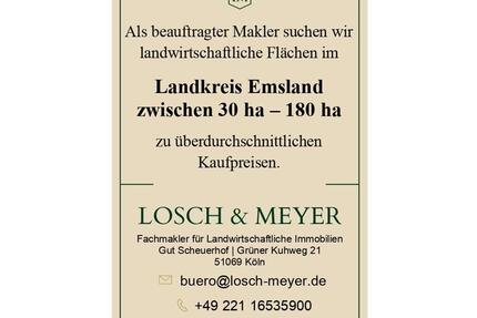 Kaufgesuch; Landwirtschaftliche Flächen zwischen 30 ha - 180 ha im Landkreis Emsland - Meppen