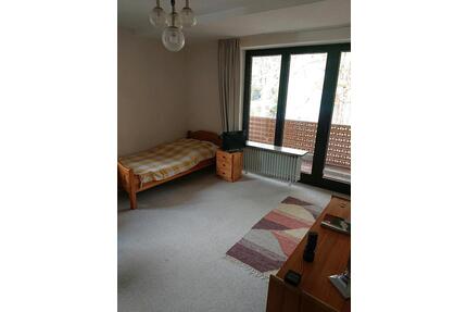 Wohnung. 1 Zi. Knapp 40qm. Ohne Provision. Bad Sachsa