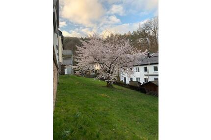 55qm, Schöne 2-Zimmer-Wohnung in ruhiger Lage mit Schlossblick - Hagen Hohenlimburg