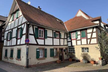 Romantisches Fachwerk-Ensemble mit Künstler-Flair, Atelier, begrüntem Innenhof und viel Potential - Breuberg / Neustadt