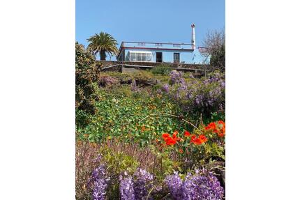 Casa Palmera Canaria, Ferienhaus auf La Palma mit großem Pool - Bremen Schwachhausen
