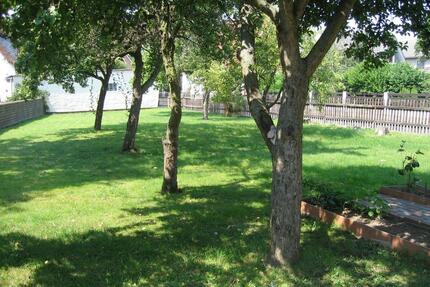 ruhig gelegene 3-Zimmer Wohnung (OG) in Vienenburg OT Wiedelah - Goslar Immenrode