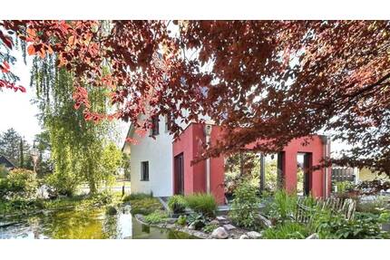 Naturidylle trifft urbanes Neubauwohnen - Lübeck Buntekuh