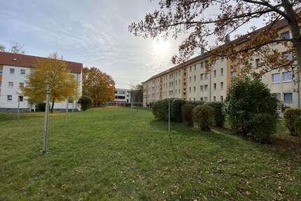 Wohnung zum Mieten in Borna 349,00 € 58.12 m²