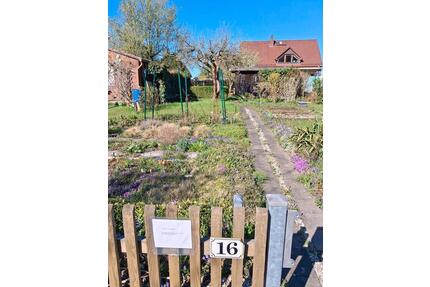 Kleingarten preiswert abzugeben - Chemnitz Ebersdorf