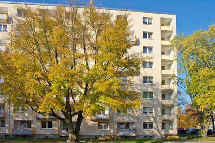 Wohnung zum Mieten in Essen 521,00 € 64.63 m²