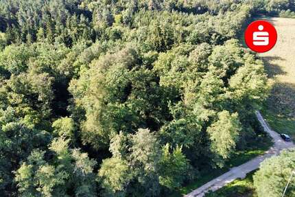 Grundstück in Altdorf 58.600,00 € 11326 m²