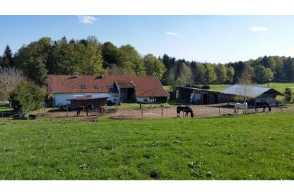Pferdehof Teilvermietung 55qm Wohn NR Stall 2-5 Pferde 2 Ha Weide - Jandelsbrunn