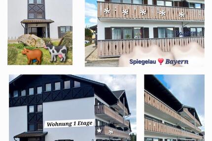 Wohnen wo andere Urlaub machen, in der Natur von Niederbayern - Spiegelau