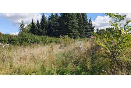 Grundstück zu verkaufen in Gem. BriesenOT Biegen 49.000,00 € 545 m² - Gem. Briesen/OT Biegen