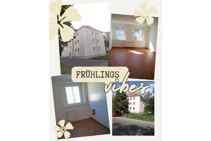 Wohnung zum Mieten in Braunsbedra 358,00 € 59.6 m²