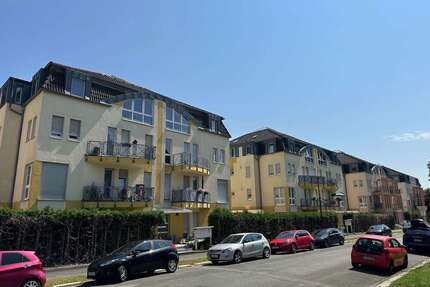 Wohnung zum Kaufen in Auerbach 49.500,00 € 55 m²
