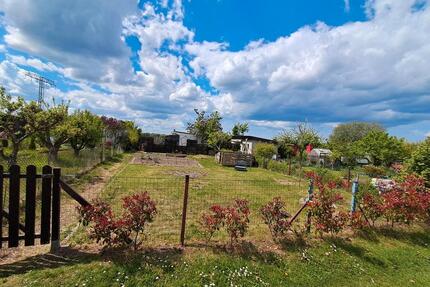 Kleingarten Garten mit Laube Bungalow - Ribnitz-Damgarten