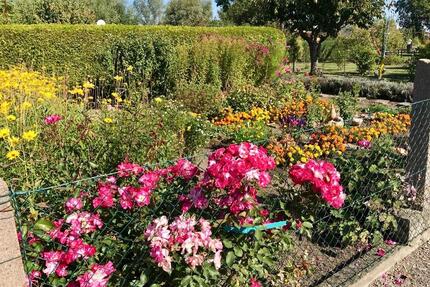 Pachtgarten in Andisleben (bei Erfurt) - Elxleben