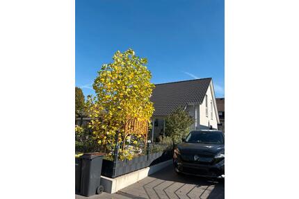 Einfamilienhaus mit Garage (Energieeffizienter Neubau 2021) - Datteln