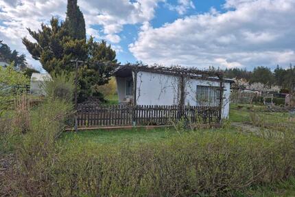 Pachtgarten Kleingarten Garten 340m² in Radeberg