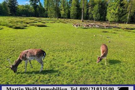 Sonniges und ruhiges Grundstück in Grünwald Nähe Grünwalder Forst